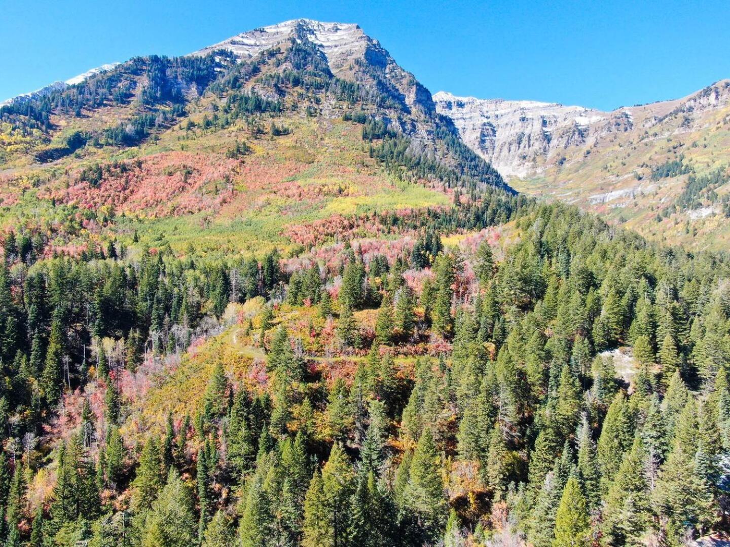Luxury 4Br Mountain Retreat Near Sundance Resort Экстерьер фото